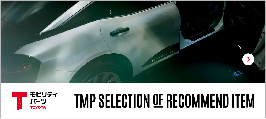 TMP SELECTION OF RECOMMEND ITEM