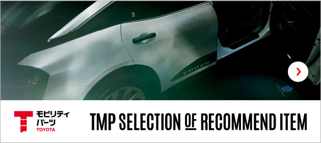 TMP SELECTION OF RECOMMEND ITEM