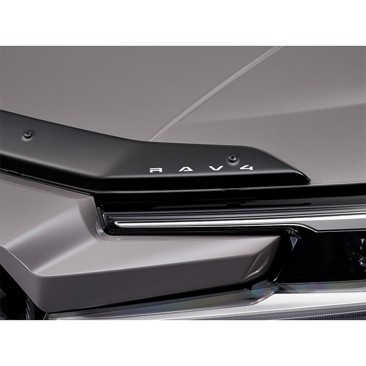 フードディフレクター ロゴアップ