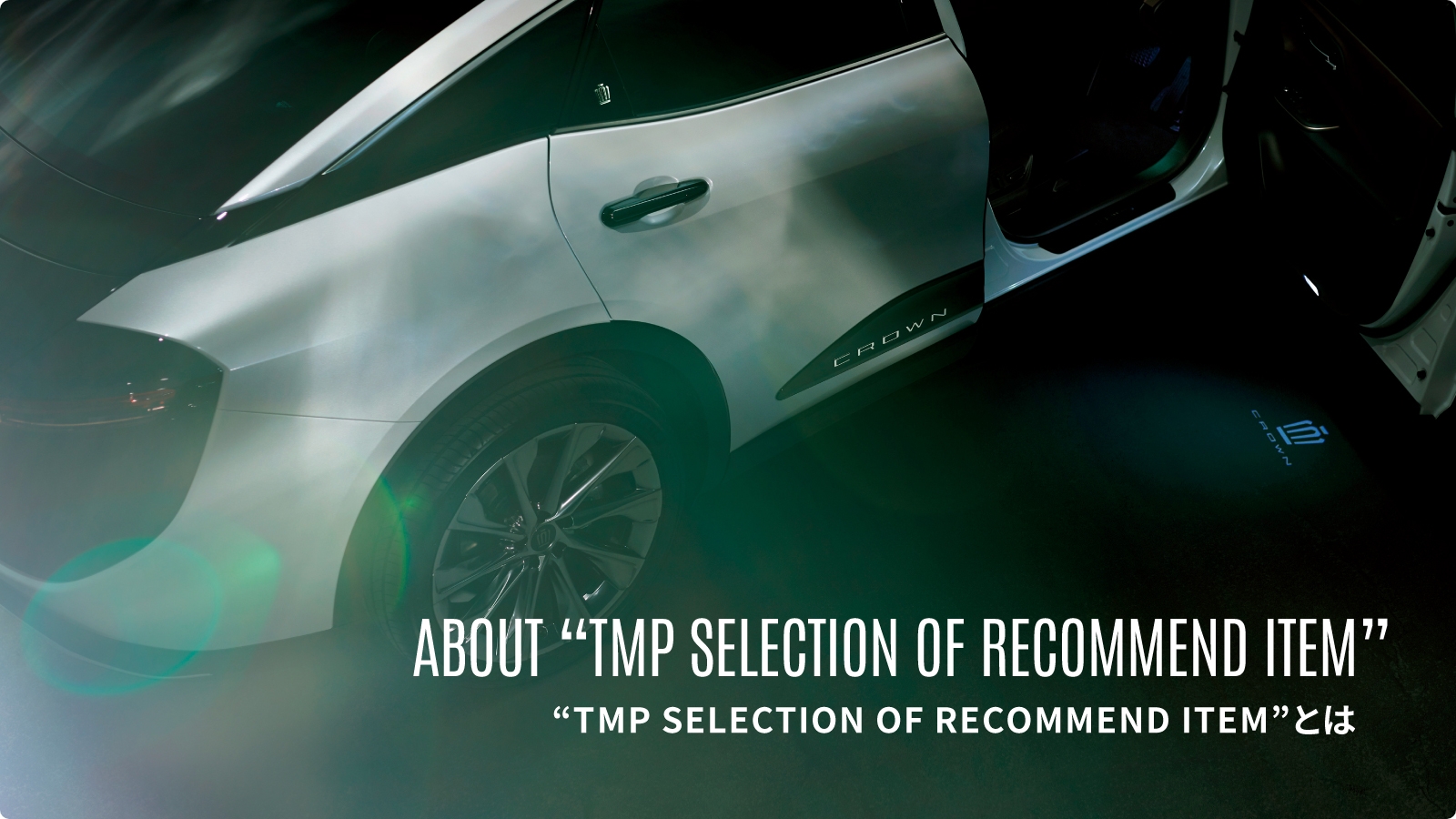 “TMP SELECTION OF RECOMMEND ITEM”とは
